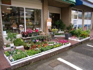 「フロゥリィ」　（広島県広島市西区）の花屋店舗写真1